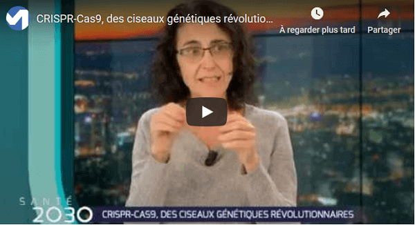 Vidéo - CRISPR-Cas9, 