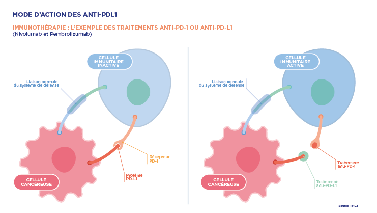 Immunothérapie, la nouvelle frontière ?