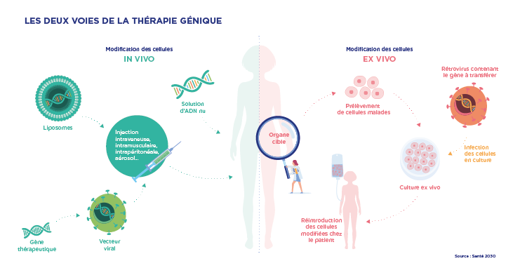 Thérapie génique : les traitements du futur ? | Leem