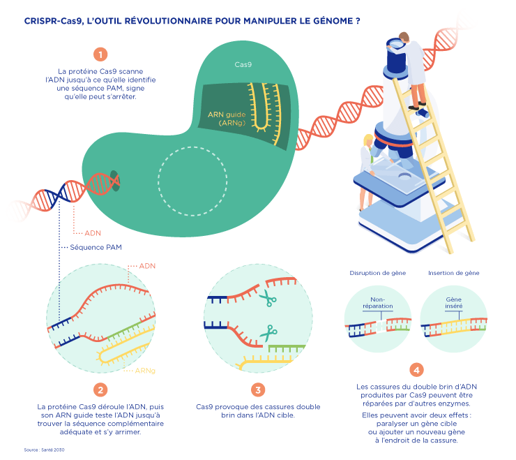 CRISPR-Cas9