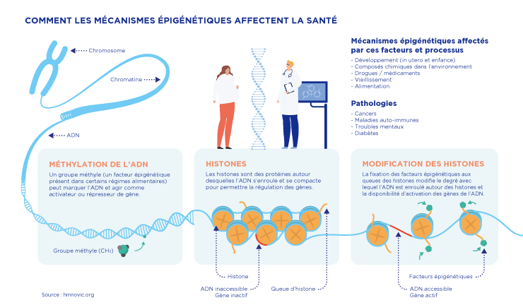 épigénétique