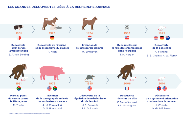 recherche animale