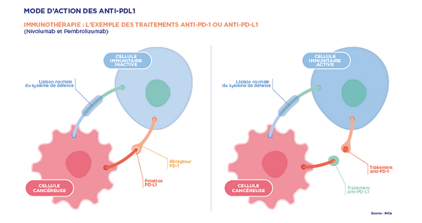 Immunothérapie, la nouvelle frontière ?