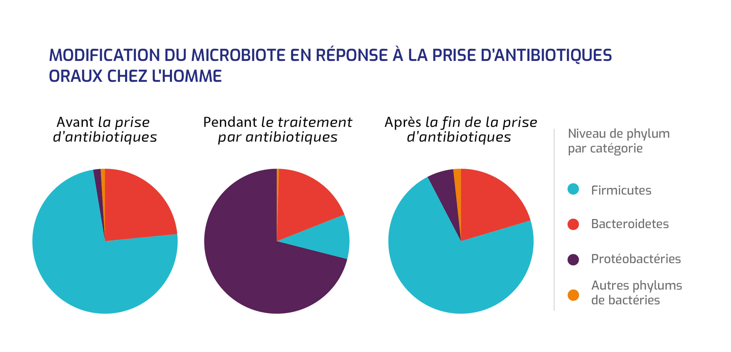 Modification du microbiote chez l'homme