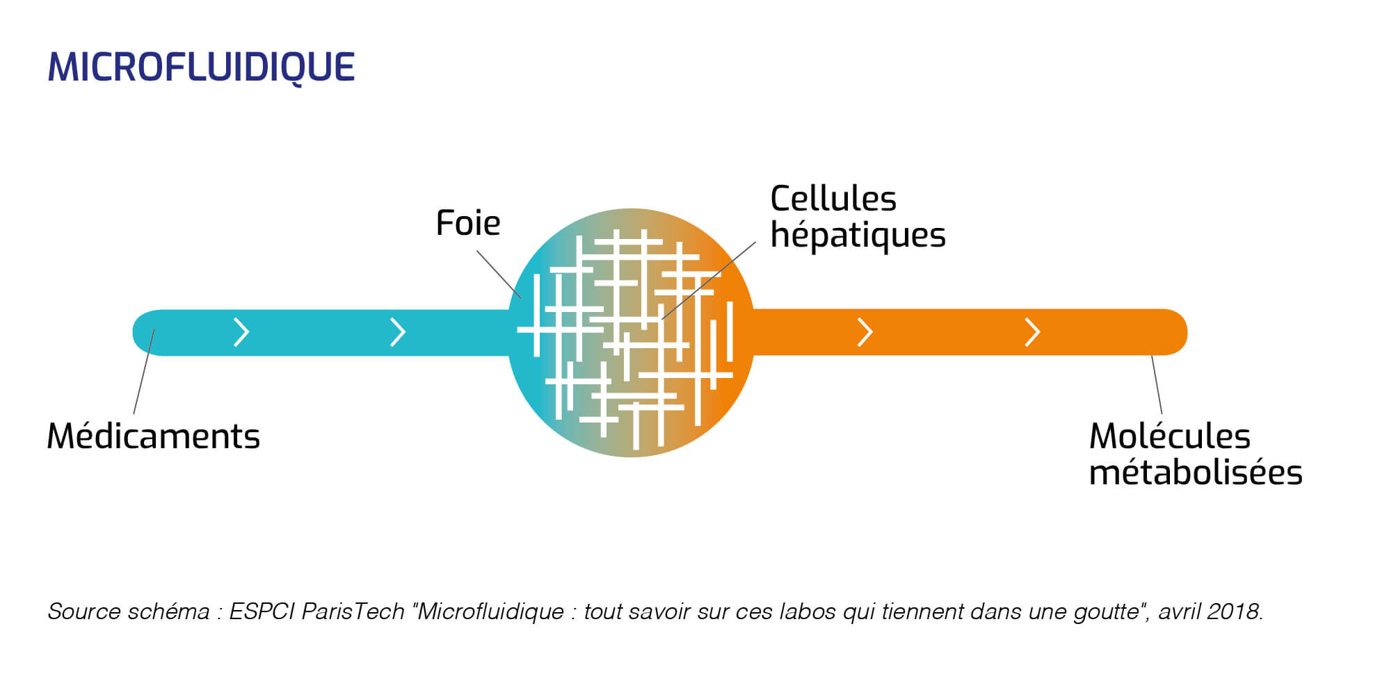 Microfluidique