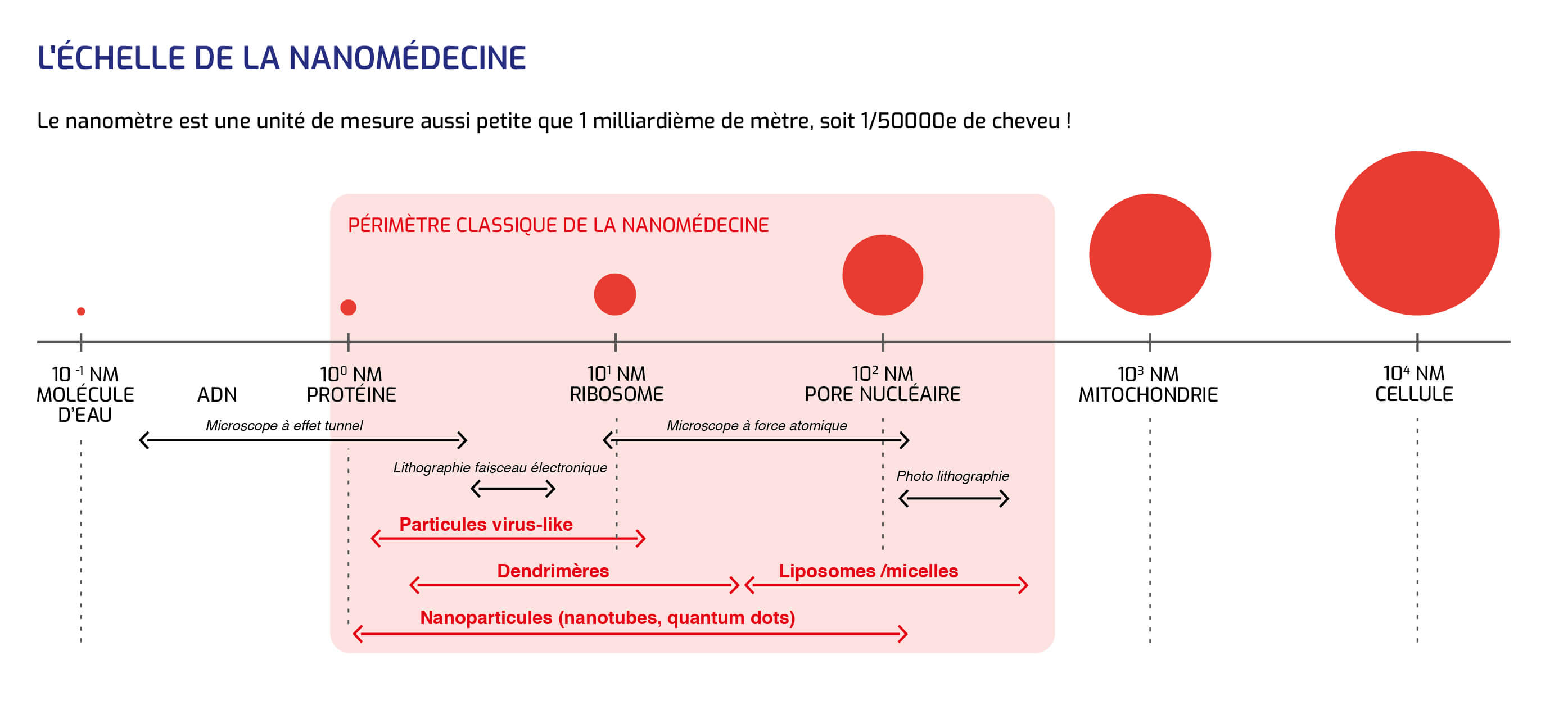 Echelle nanomédecine