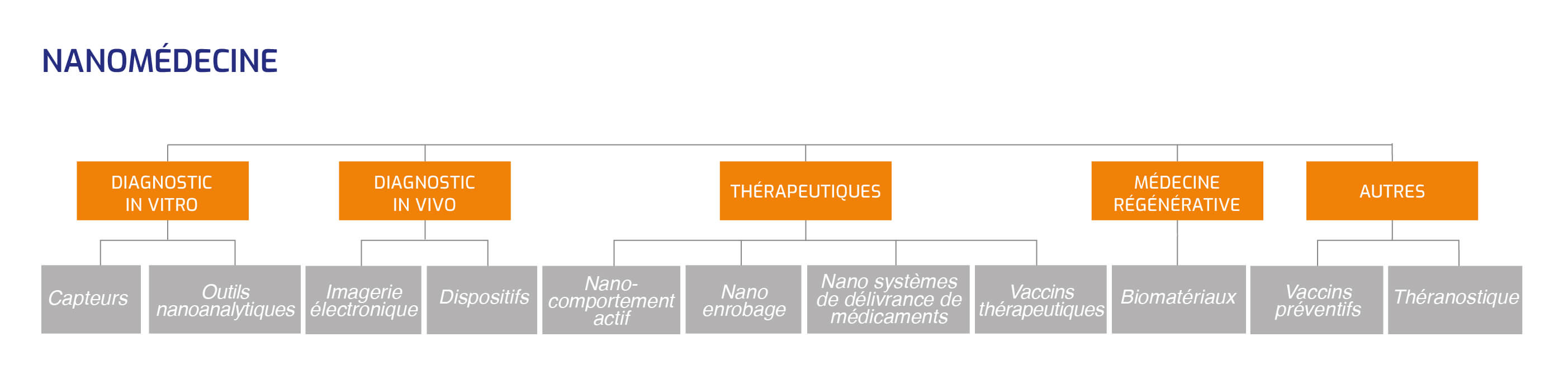 Nanomédecine