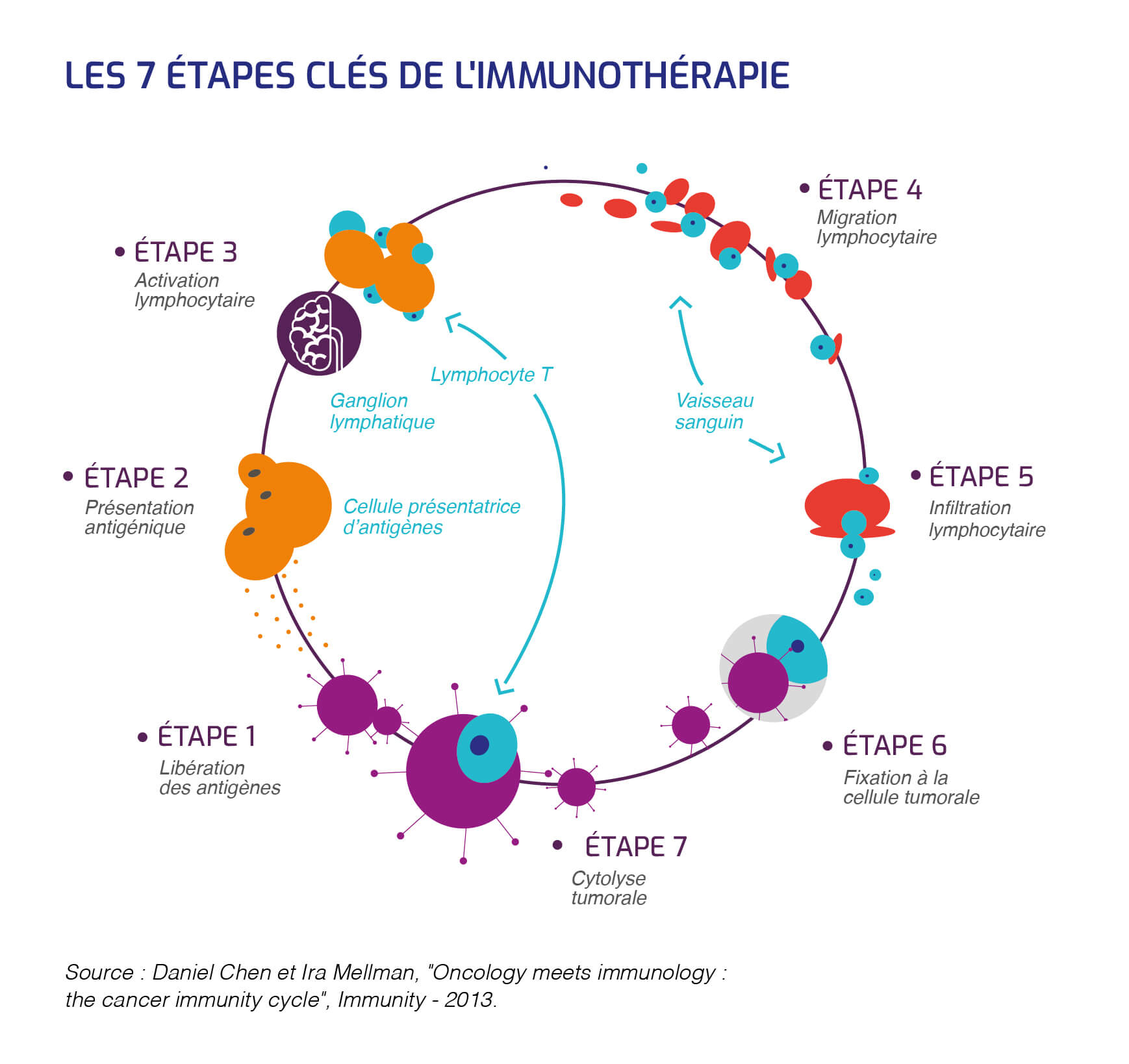 sept étapes clés immunothérapie