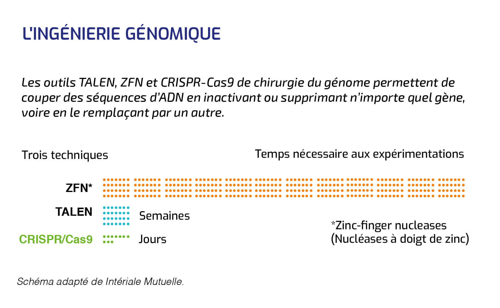 Ingénieurie génomique