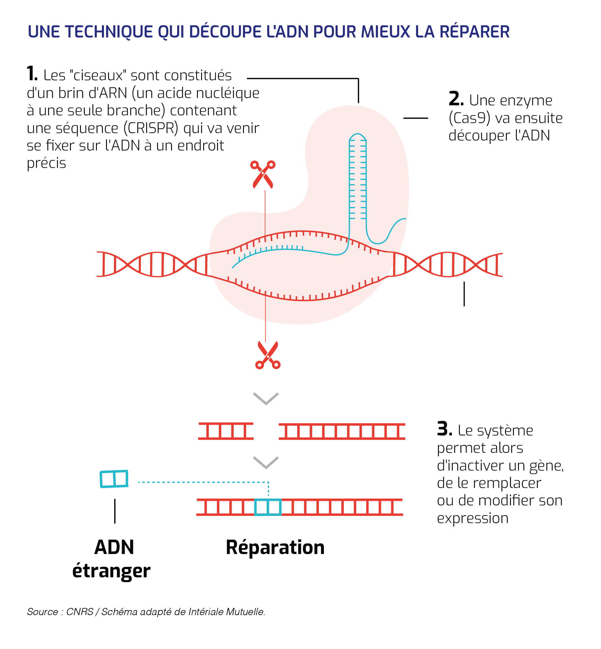 CRISPR-Cas9