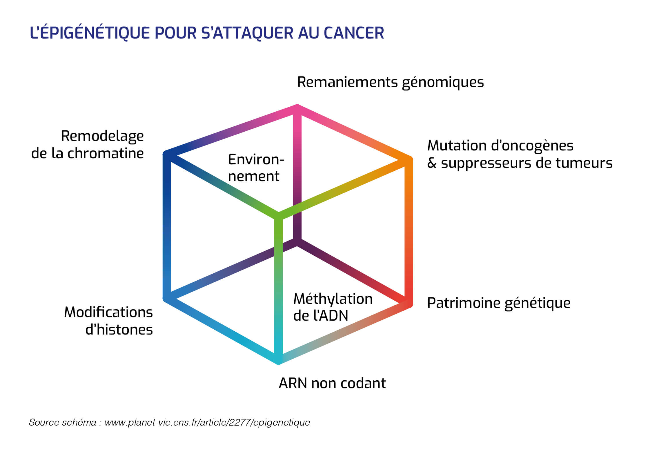 Epigénétique cancer