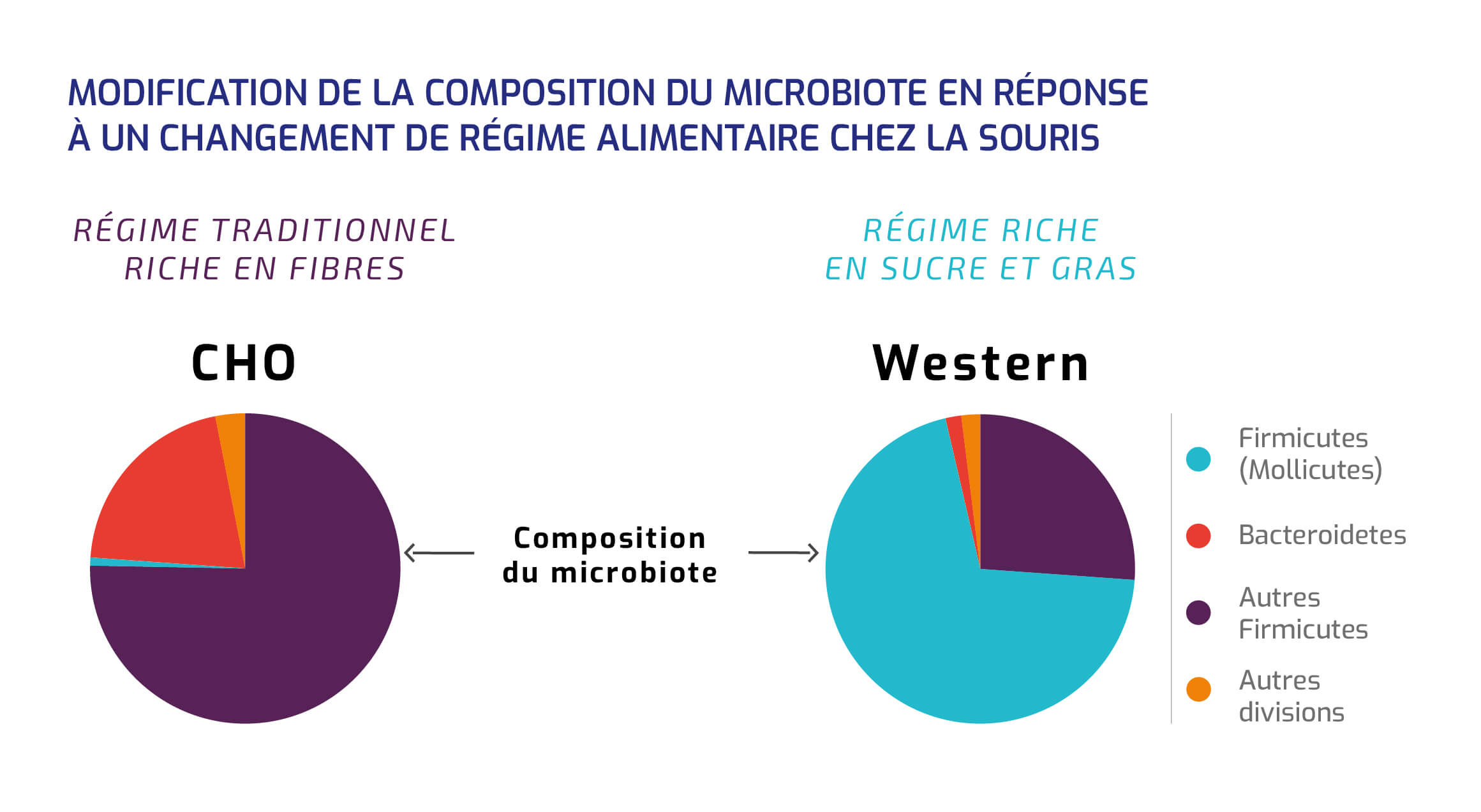 Modification microbiote chez la souris