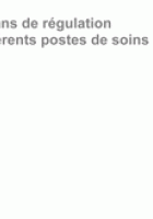 Bilan de 9 ans de régulation sur les différents postes de soins 2005-2013