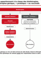 Etude thérapie cellulaire - Edition 2010