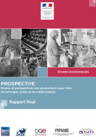 Rapport final Pipame "Prospective"