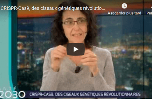Vidéo - CRISPR-Cas9, 