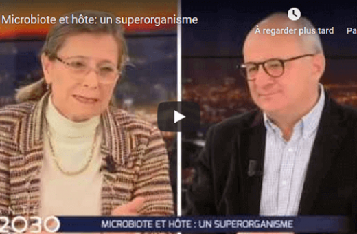 Vidéo - Le microbiote : un super organisme 