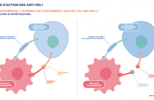 Immunothérapie, la nouvelle frontière ?