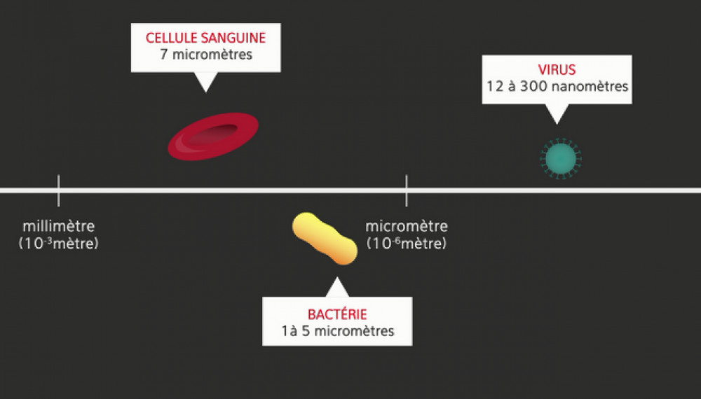 La nanomedecine : définition et principe de fonctionnement