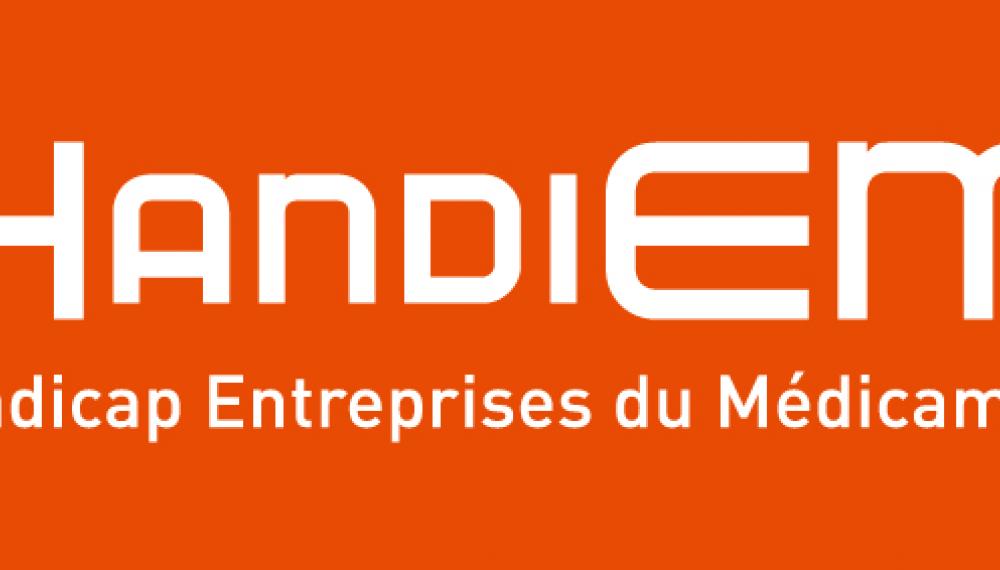 logo handiem