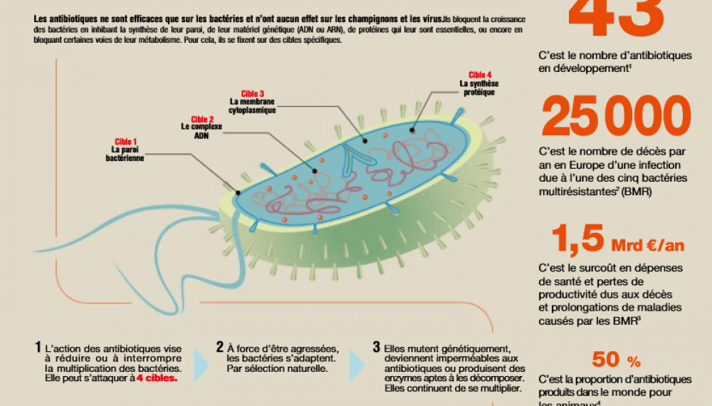 Les antibiotiques, c'est fini ? 