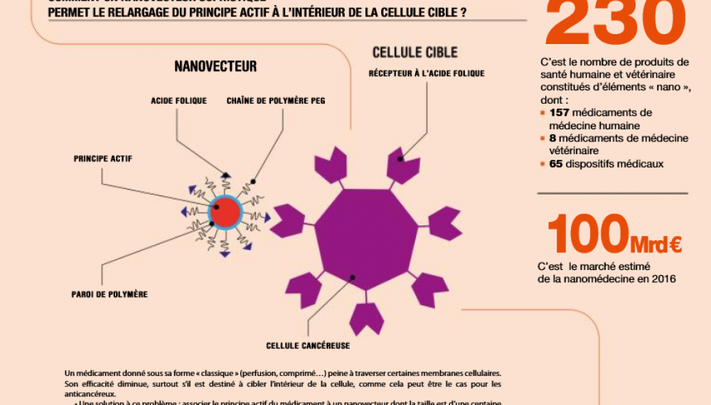 Pourquoi utiliser les nanotechnologies pour soigner ? 