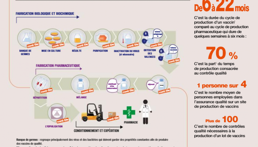Comment la qualité et la sécurité des vaccins sont-elles assurées ? 