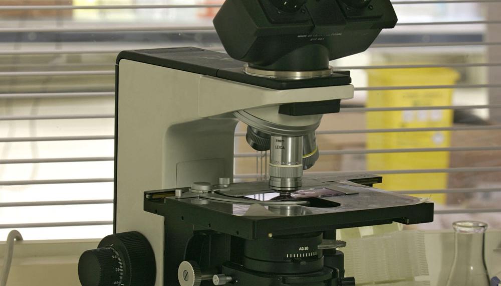 microscope