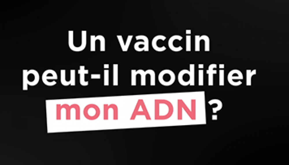 Vaccins covid