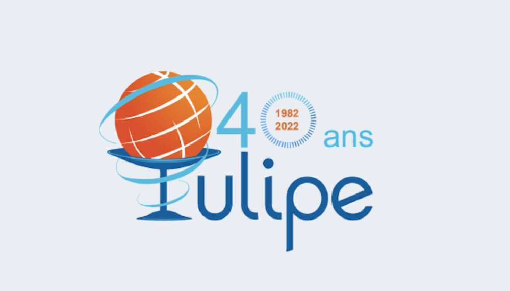 Tulipe
