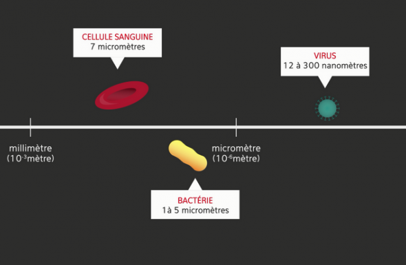 La nanomedecine : définition et principe de fonctionnement