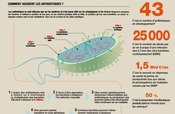 Les antibiotiques, c'est fini ? 