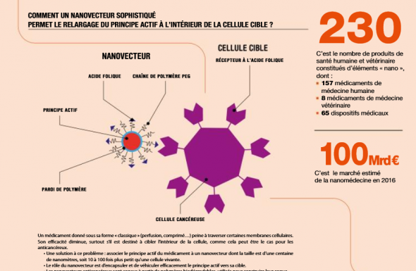 Pourquoi utiliser les nanotechnologies pour soigner ? 