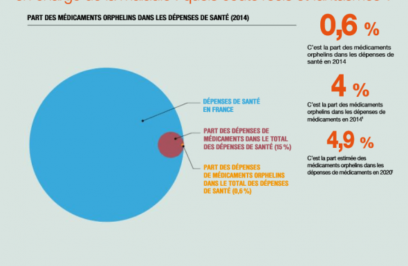 L'impact budgétaire du médicament orphelin dans la prise en charge de la maladie 