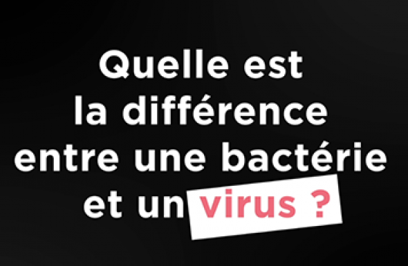 vaccins
