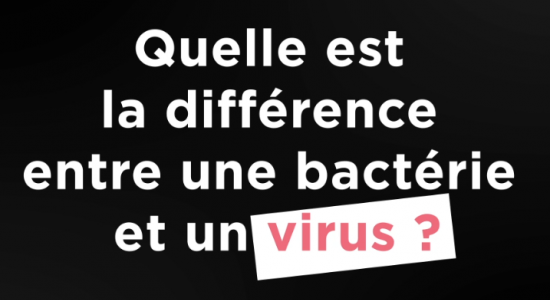 Vignette 1 virus