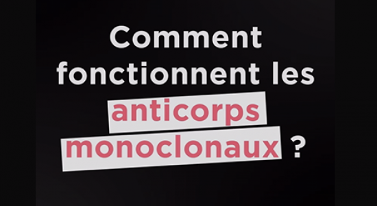 anticorps monoclonaux